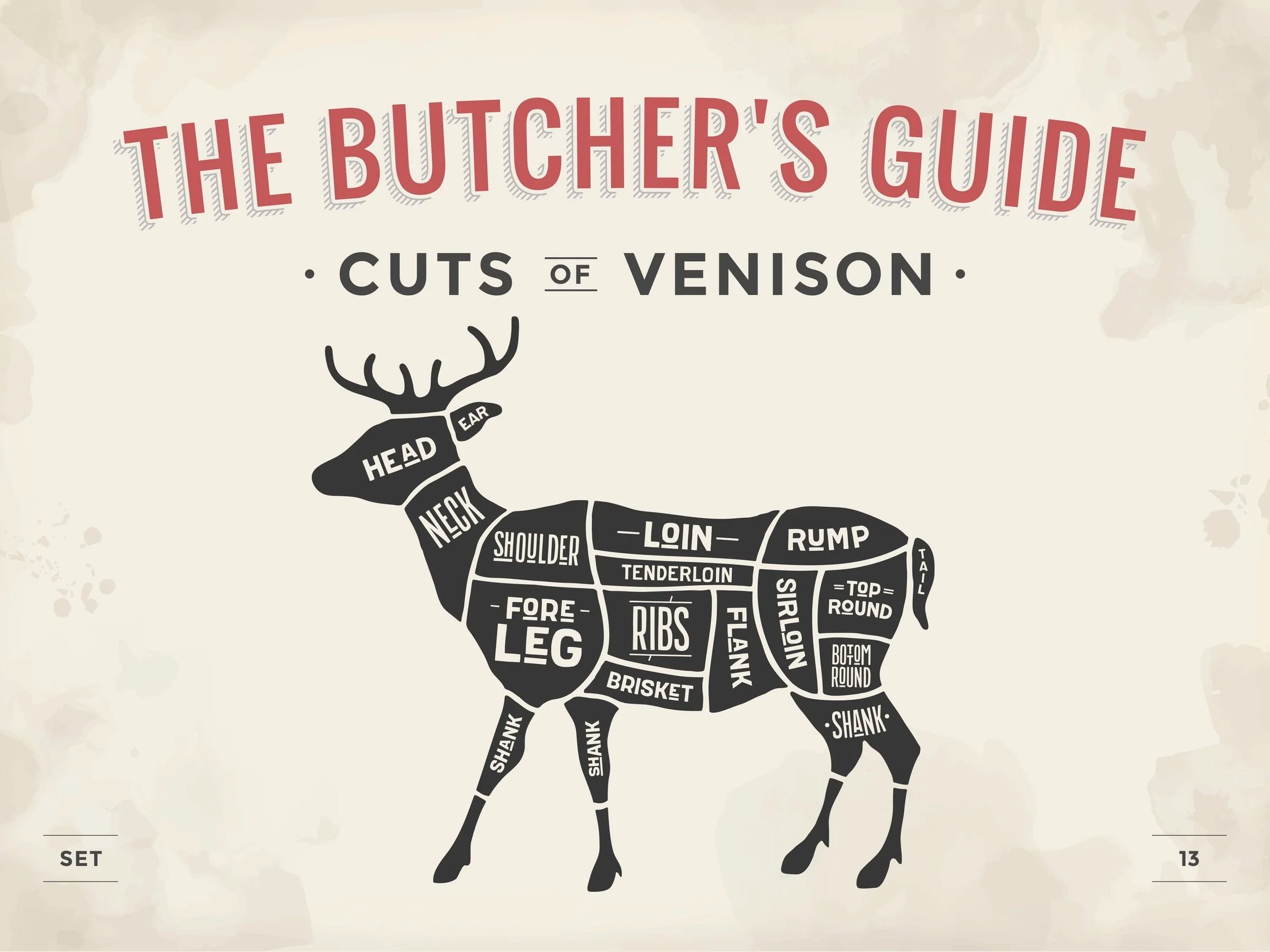Illustration of a deer labeled with various cuts of venison, including head, neck, shoulder, foreleg, loin, tenderloin, ribs, brisket, flank, sirloin, rump, and shank. The design serves as a butcher's guide for understanding venison cuts.